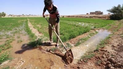بين العطش والإهمال الزراعة تواجه مصيرًا مجهولًا